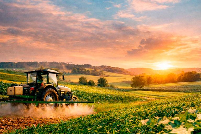 Como aumentar a produtividade no agro com agricultura regenerativa