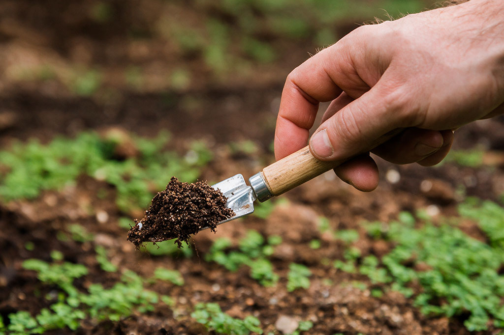 Fosfatos e agricultura regenerativa: como planejar a adubação para cuidar do solo e da produtividade Ello Soluções Agrícolas Rentabilidade com Sustentabilidade Distribuição de especialidades